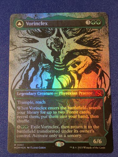 Vorinclex grande evoluzione - la,